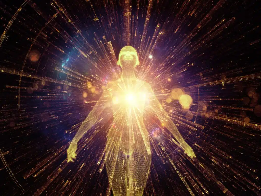 3d lighted human body